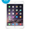 iPad-Mini-3-Software-Herstelling