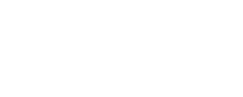 VDL Nedcar